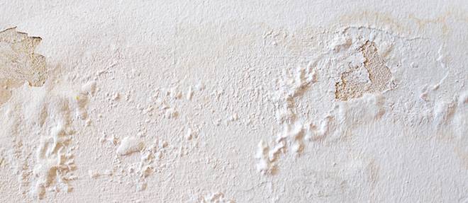 water damaged wall from leaking shower